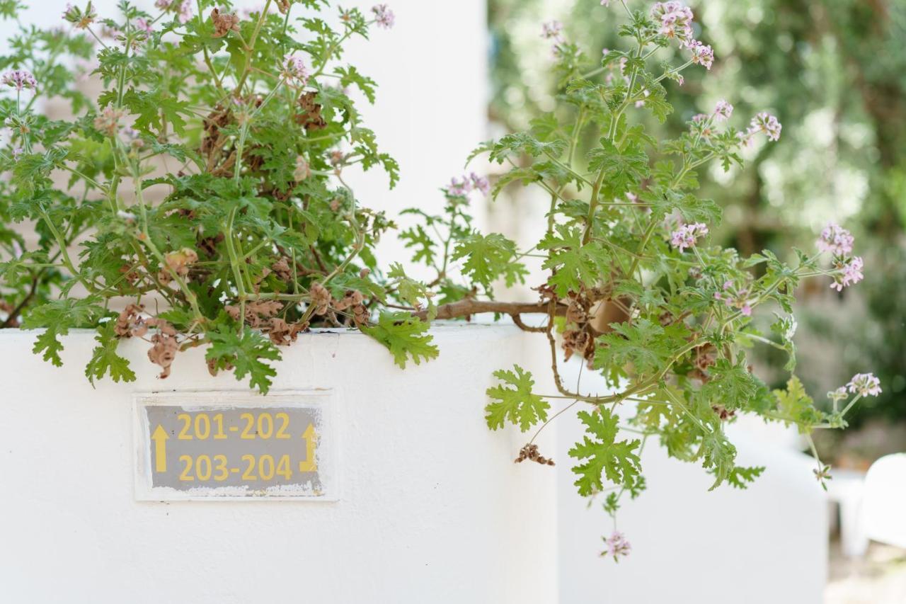 Costa Sariyaz Hotel Bodrum Eksteriør billede